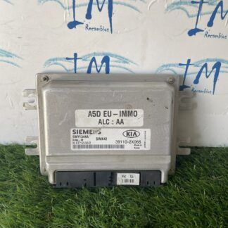 581. ECU Centralita Motor Kia 5WY1344A